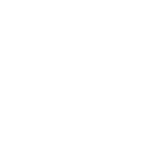 logo-blanc-ladn-restaurant-plescop-bistronomie