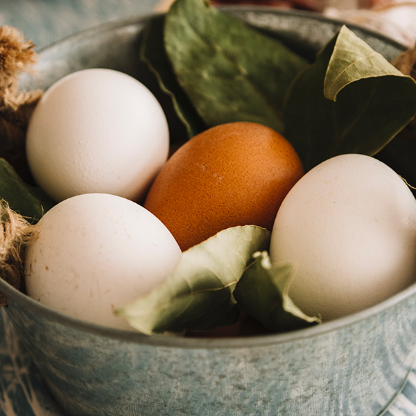 oeufs
